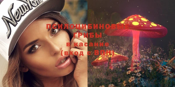 эйфоретик Алексин