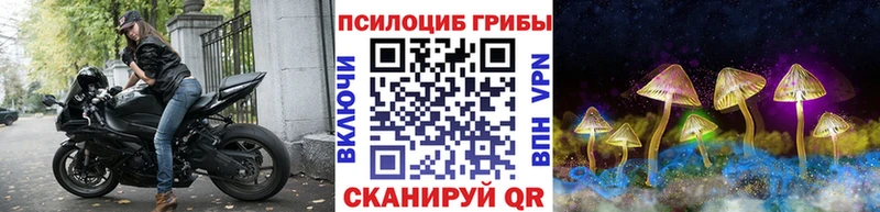 Галлюциногенные грибы мицелий  где найти   Балашов 
