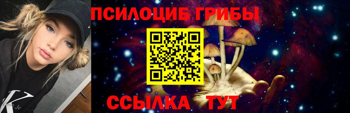 Галлюциногенные грибы Psilocybe  Вход с VPN  Балашов 